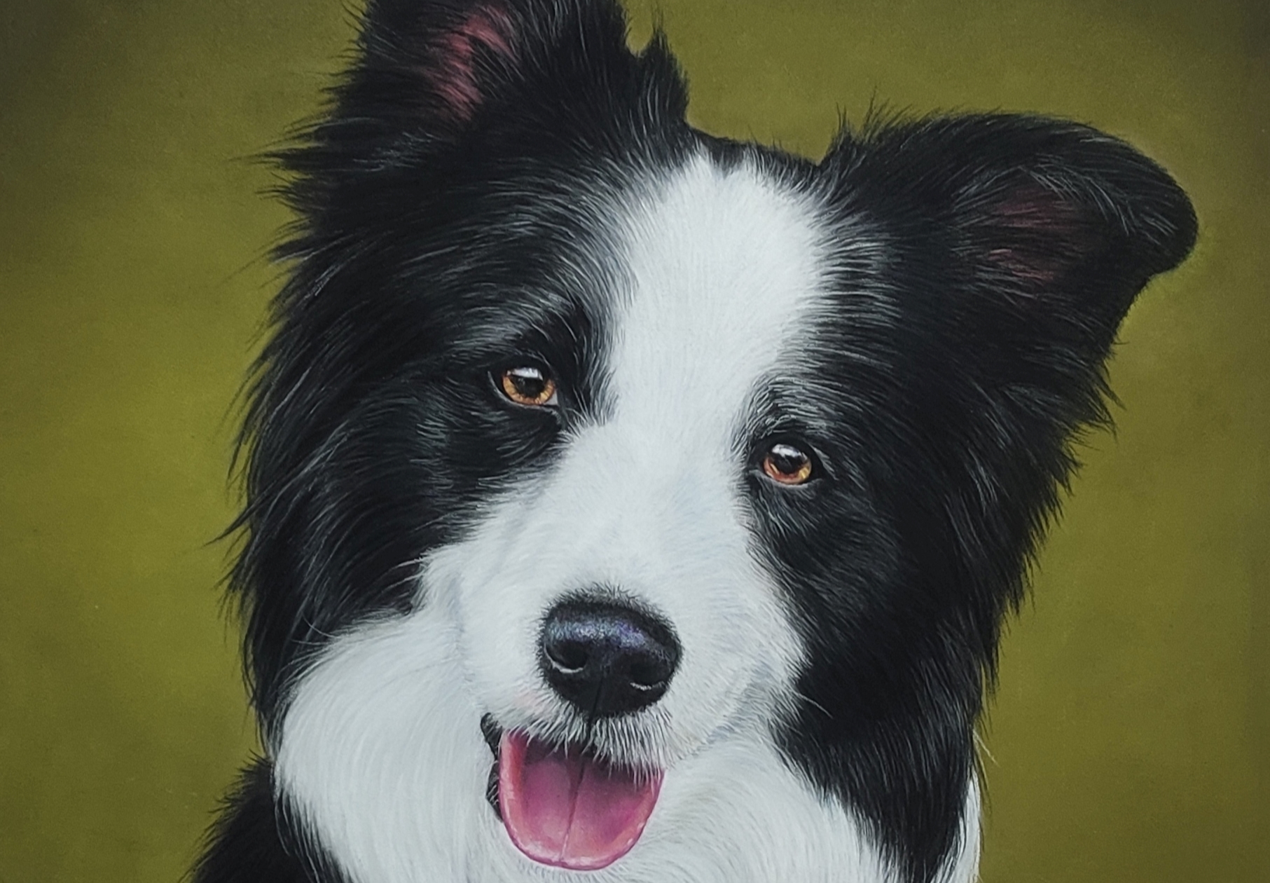 Border Collie hiperrealista